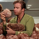 Star Trek, "The Trouble With Tribbles"